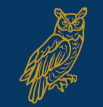 trivia owl